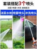 充电式 淋菜浇菜神器浇水机菜地抽水机水泵小型户外田园农用灌溉12