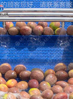 食风品机械果蔬清线洗线 果蔬洗 果蔬清洗干线清 阶QDH梯风干机