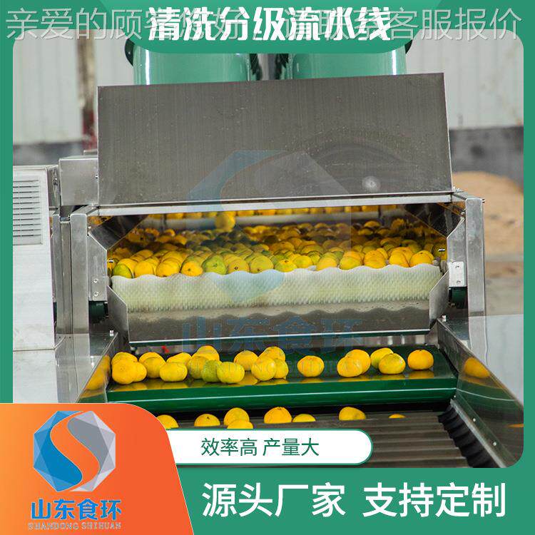 土豆红薯分级机流 樱桃沃柑小清橘子洗级水线分 清洗MBI分选机