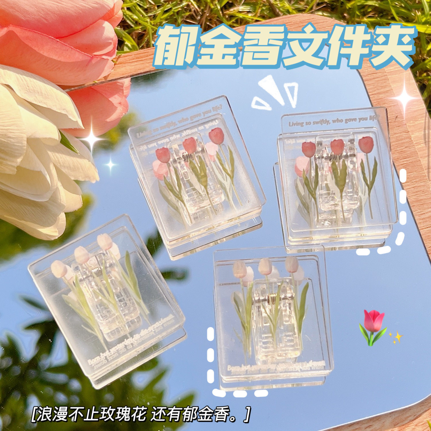 夹子亚克力透明长尾夹彩色郁金香