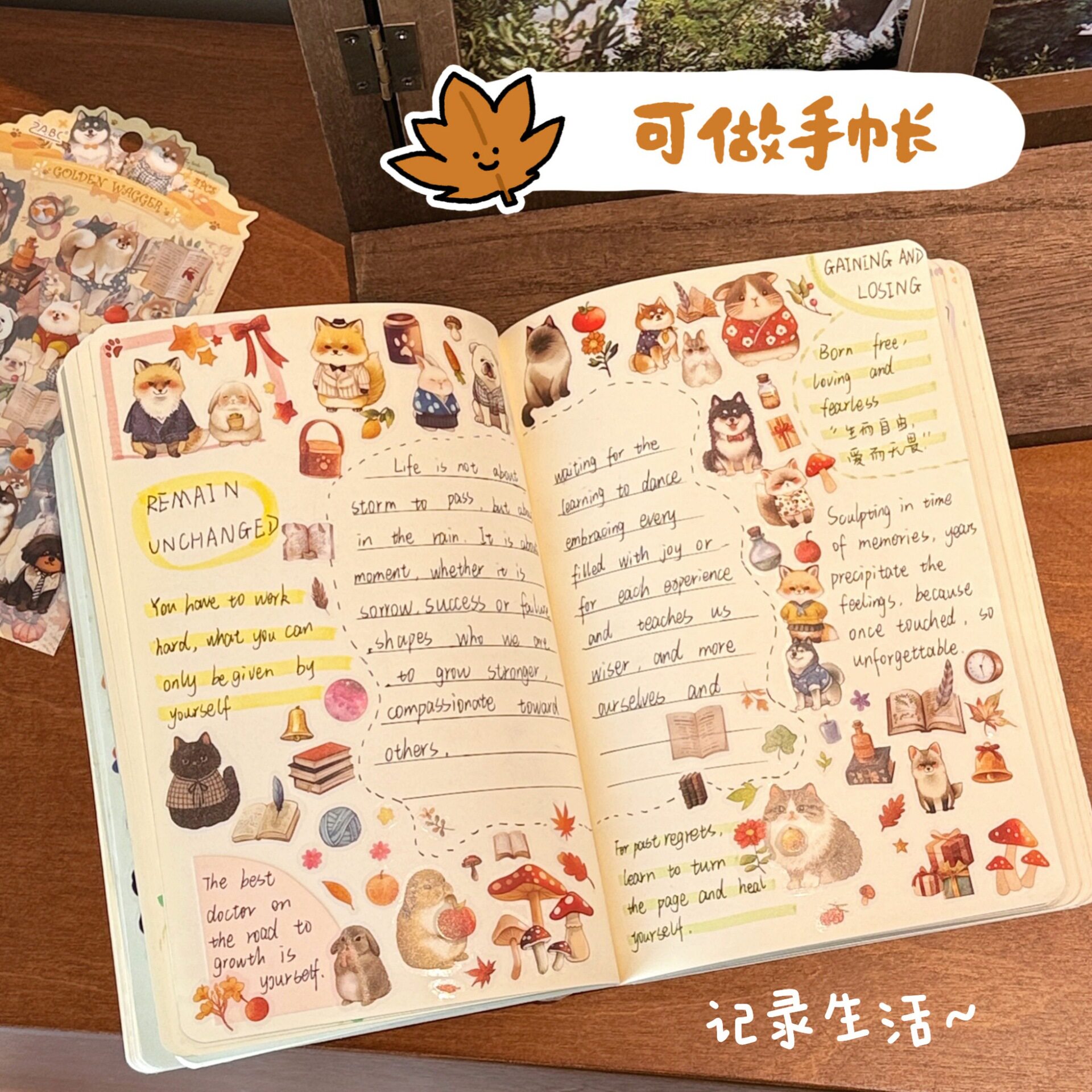 腾亿优品贴纸/立体贴纸