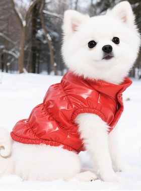 狗狗衣服冬季新款加厚红色羽绒服保暖比熊博美泰迪猫咪冬装棉服