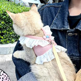 猫咪衣服蕾丝边可爱胸背带牵引绳套装 防挣脱布偶银渐层甜美JK裙子