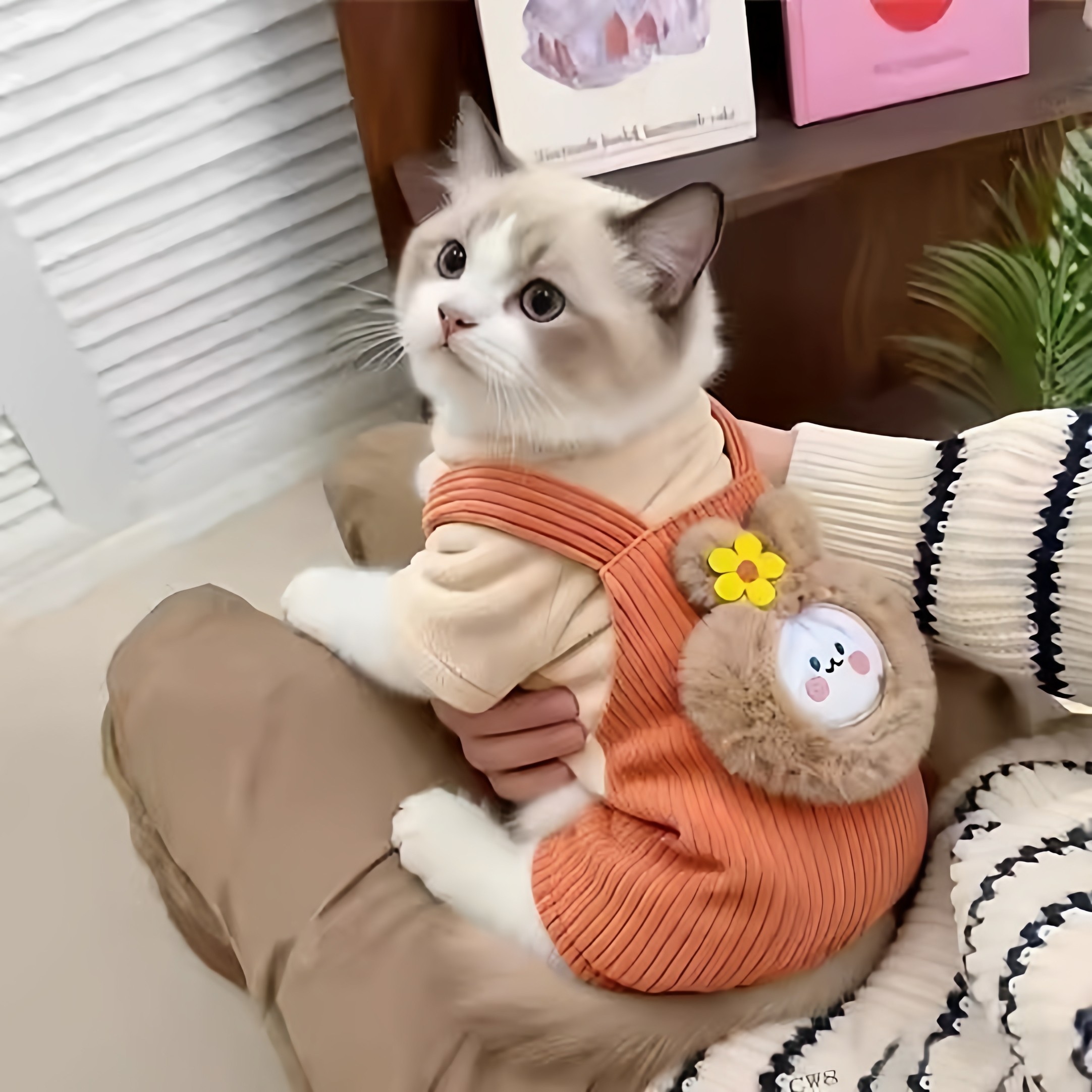 猫咪衣服冬衣加厚加绒四脚衣保暖可爱布偶德文狸花小型犬宠物服饰,宠物/宠物食品及用品,狗宠物服装/雨衣,淘宝优惠券,粉丝福利购,淘宝优惠卷