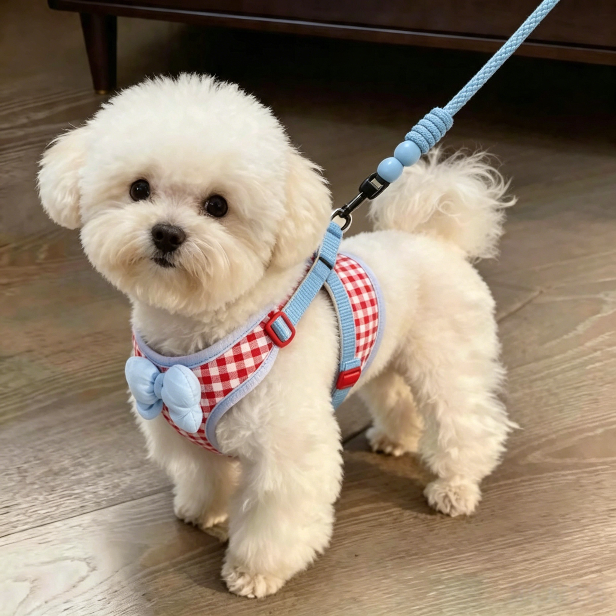 狗狗牵引绳糖果色蝴蝶结胸背带遛狗绳中小型犬比熊泰迪外出防挣脱