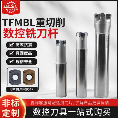 TFMBL09快进给双面铣刀杆 特固克BLMP0603/BLMP00904刀片开粗铣面