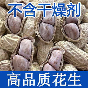 不含干燥剂】25年新水煮白晒花生不脆有嚼劲五香蒜香咸干酥脆