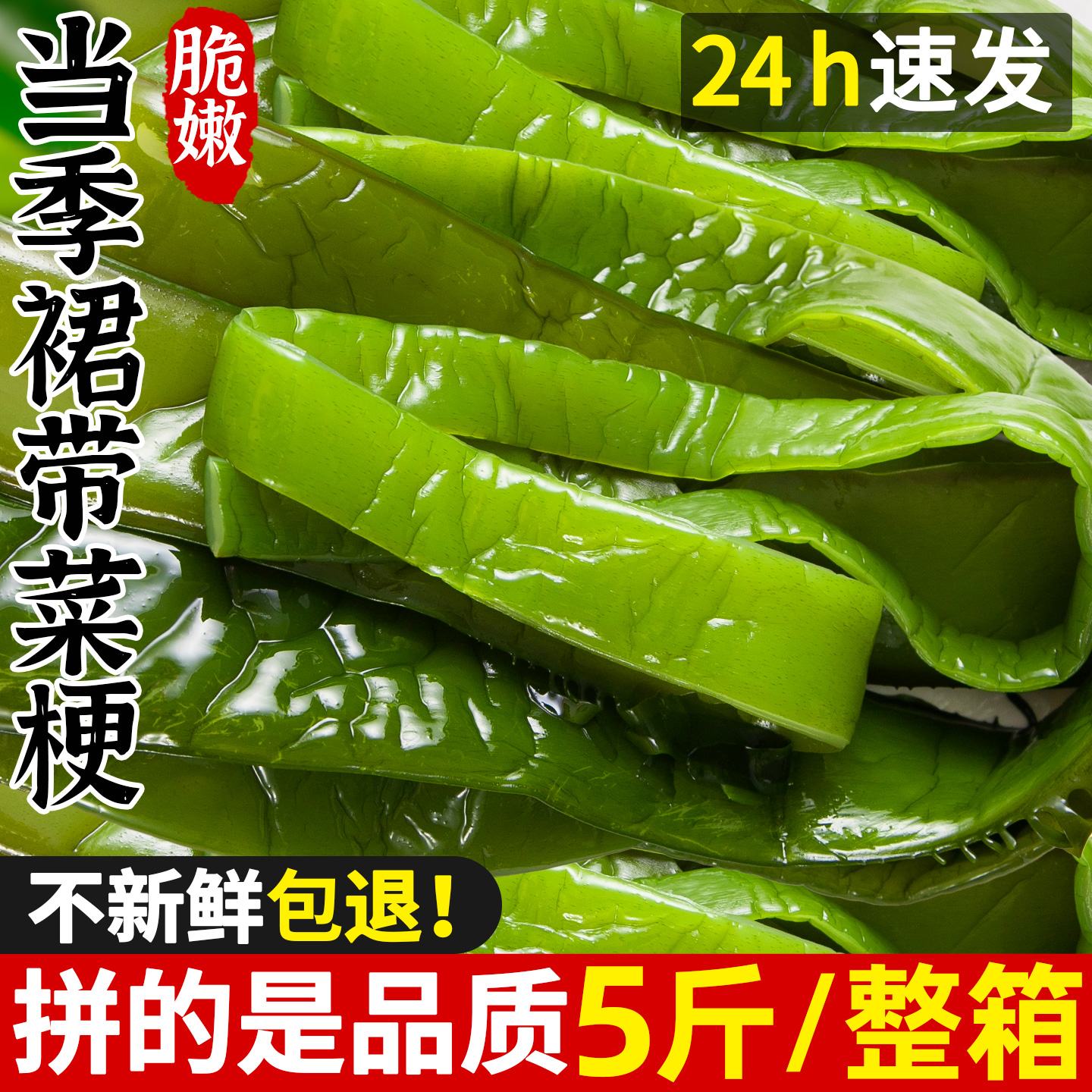 5斤新鲜商用盐渍海裙菜