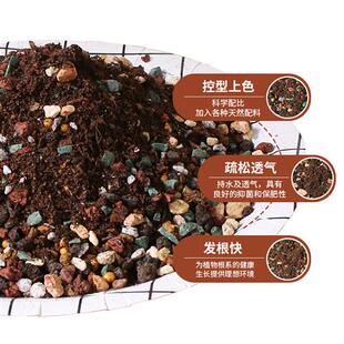 多肉颗粒土专用土营养土多肉土泥炭土扦插土壤法师种植土铺面石