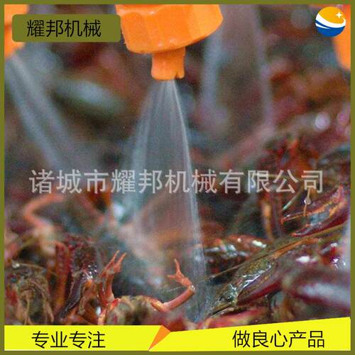 辣大型气泡小龙虾清机 龙虾加清洗设洗备 RQP全自动麻小龙虾工生