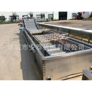 百合气泡清洗机洗烫护色机 漂连翘清洗豆机 毛清机 花4000生气泡