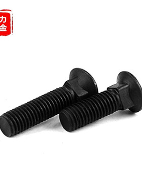 M6M8 304不锈钢黑色马车螺丝货架定位螺栓方颈*x16x20x35x45x60mm