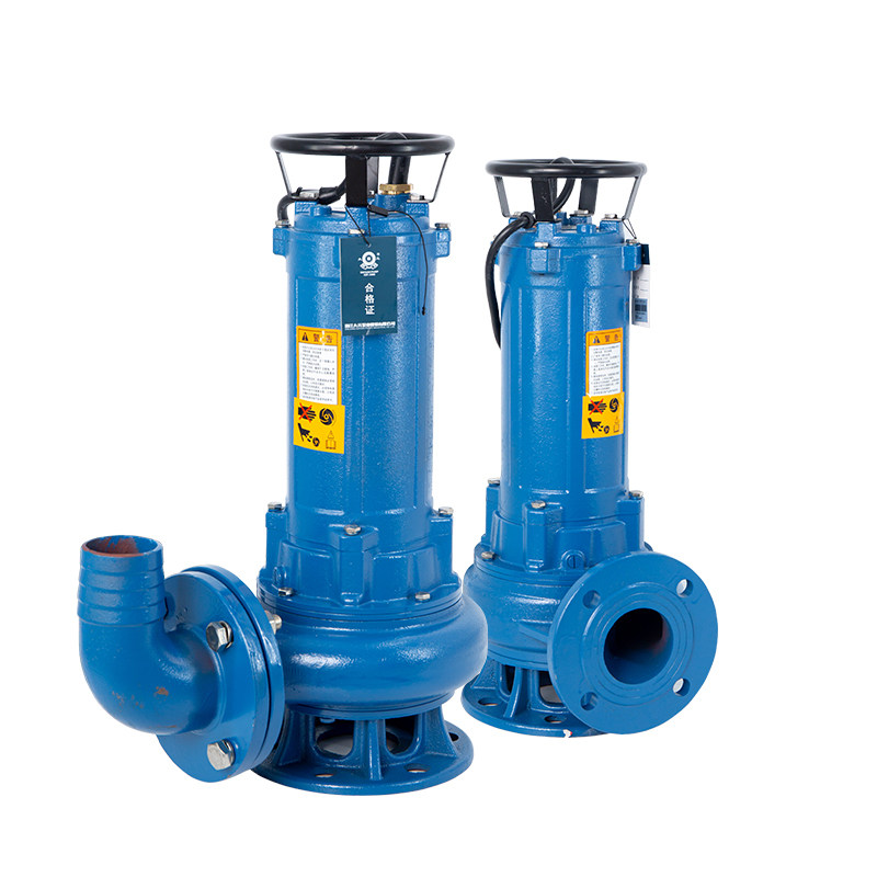 大元D型铸铁污水泵大功率380v抽水机排污高扬程法兰接口泥浆人防