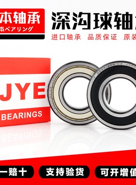 日本JYE进口高速轴承 6219 6220 6221 6222 6224 6226 2Z 2RS/C3