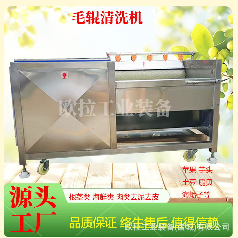 红薯毛刷清洗去泥去皮一体机 果蔬清洗流水线 莲藕板栗清洗设备