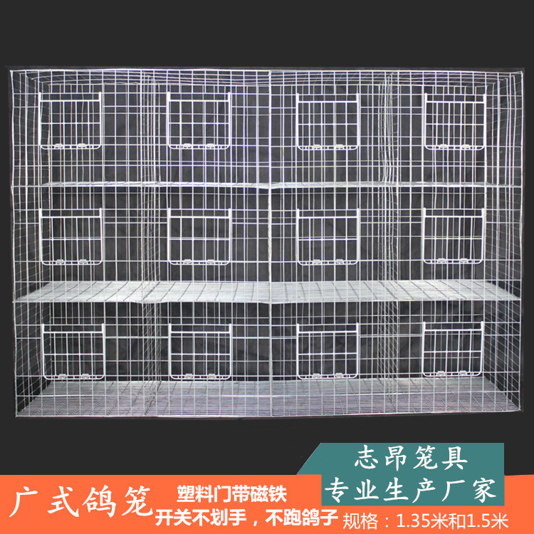 广式鸽笼 底网横丝加粗加密肉鸽元宝鸽展示配对鸽笼 鸽笼生产厂家