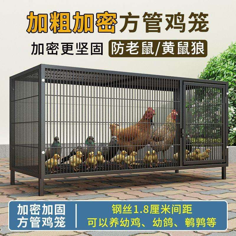 养鸡笼家用鸡笼子养殖笼家用铁笼子鸡舍家用蛋鸡笼特大号包邮