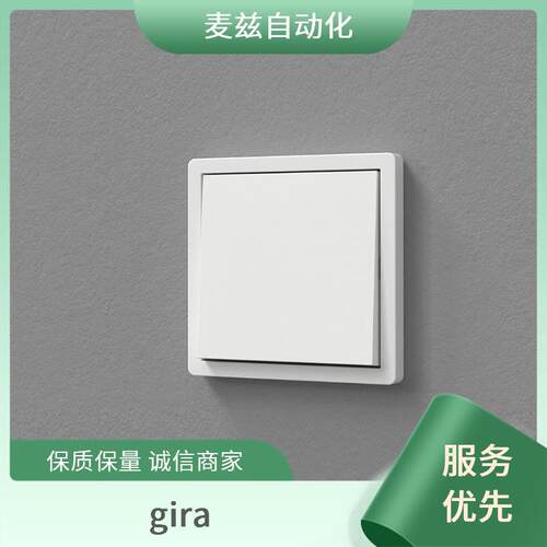 吉徕 gira rocker 2-g System 55 p.white m 楼宇自动化 开关面板