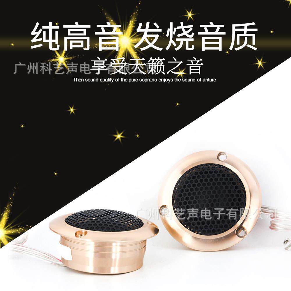 "丹麦LS-200M车载音响升级,2寸丝膜高音,悦耳音质,驾驶新体验