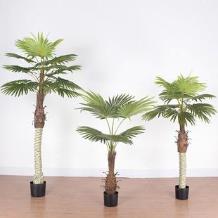 热带植物假棕榈树仿真扇葵树室内造景葵树唐棕葵盘栽仿真蒲葵