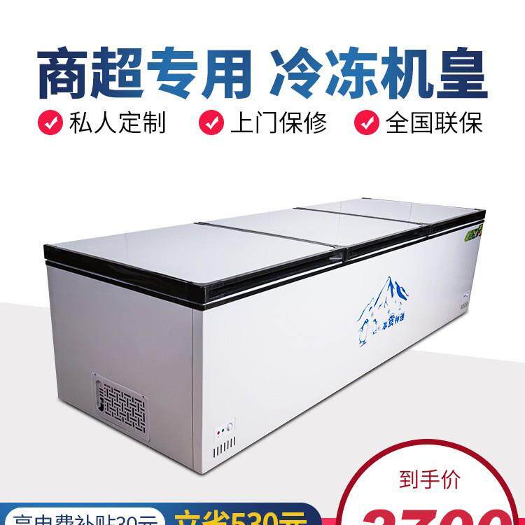 商用超大卧式冷藏冷冻冰箱超市速冻单温铜管雪柜