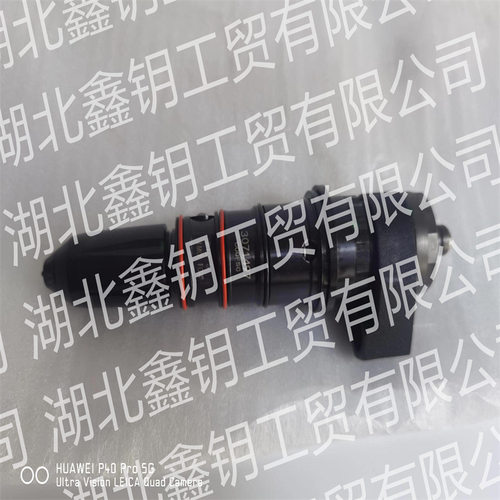 厂家直供现货批发零售NT855喷油器3071497/3064457