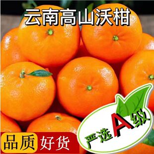 整箱纯甜孕妇新鲜当季斤精品9沃柑正宗云南水果宾川现摘柑橘