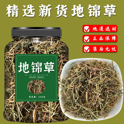 地锦草新鲜中药材500g官方旗舰店泡水喝非野生地锦草种子地锦草粉