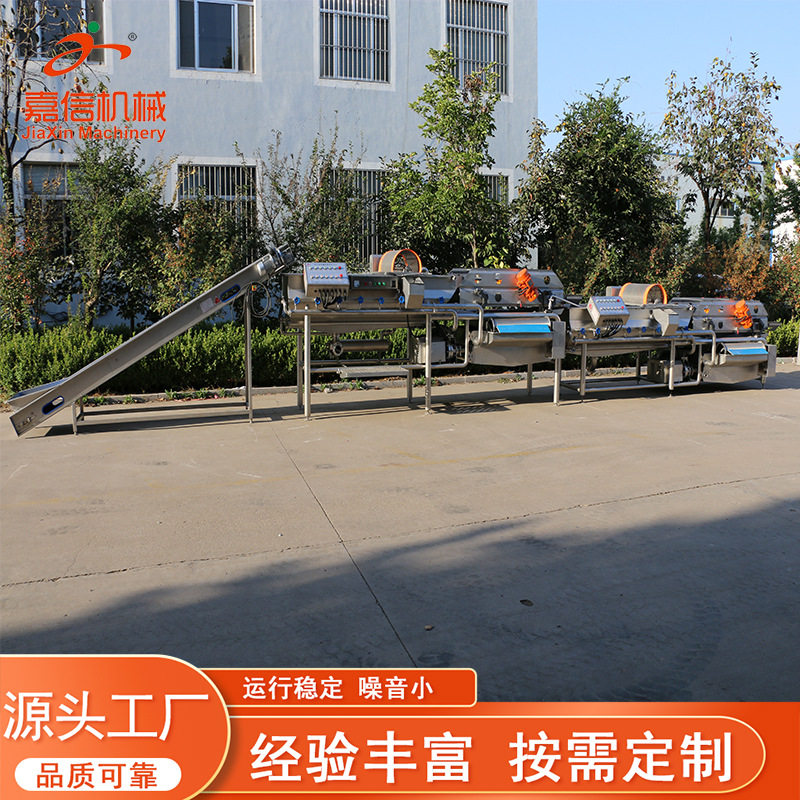 多功能黑水虻清洗机 面包虫清洗烘干机 虫子清洗深加工成套设备