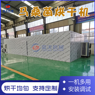 马桑菌烘干机 马桑香菇红马桑脱水烘干机设备 树芝菇烧颗粒烘烤房