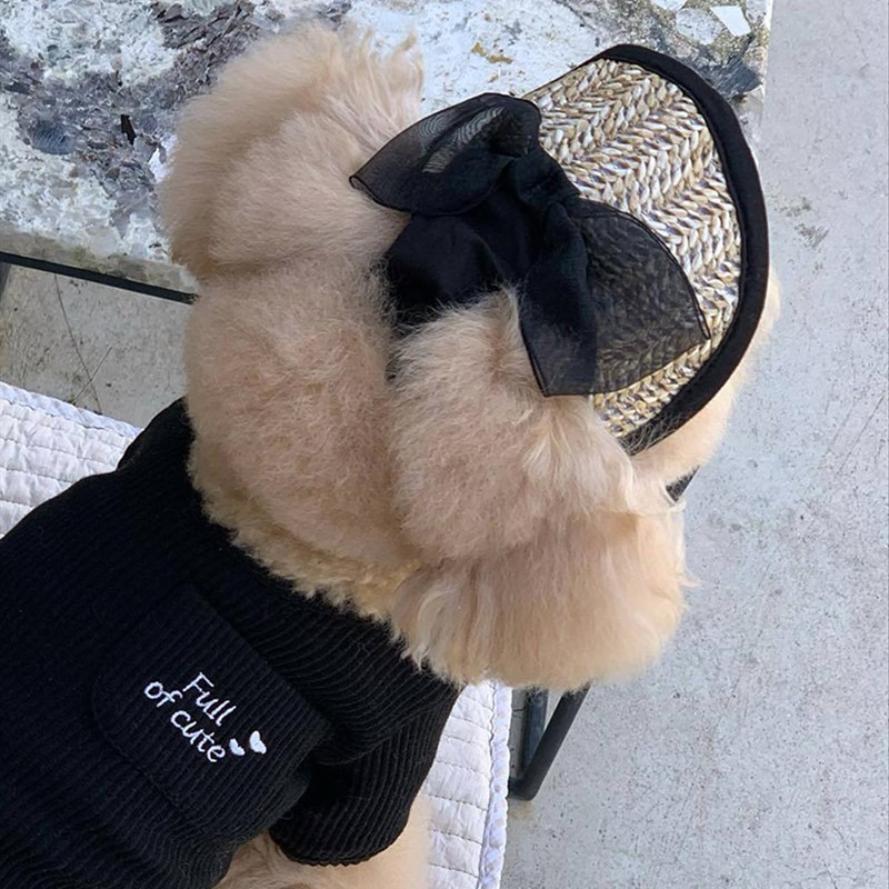 热销宠物法式草帽小型犬泰迪比熊露耳朵蕾丝遮阳帽可调.节猫狗护