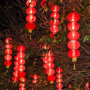 新年春节户外防水防晒大红灯笼连串三四五联拉丝室内外树上悬挂饰