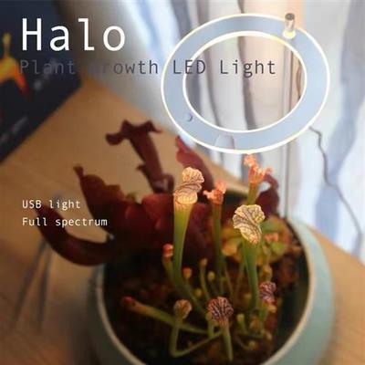 全光谱食虫植物usb补光灯鱼缸室内生态缸专用led生长灯光合作用