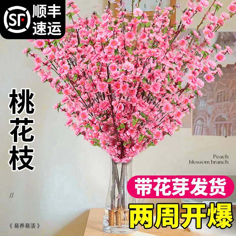 带花水培桃花枝树干枝樱花珍珠李鲜花室内花卉盆栽鲜切水养绿植物,鲜花速递/花卉仿真/绿植园艺,绿植,淘宝优惠券,粉丝福利购,淘宝优惠卷