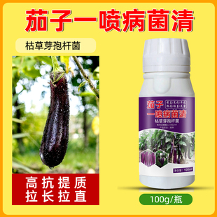 茄子防治药黄萎病褐纹病炭疽病灰霉病根腐病枯萎病茄子病害用药