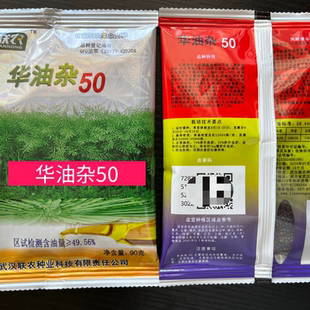 中油杂501高产油菜种子黑籽粒荚果多华油杂50杂交油菜高产王种子