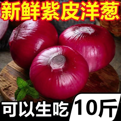 云南紫皮水果洋葱10新鲜