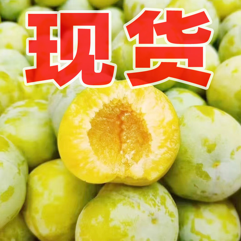 四川脱骨李子新鲜水果