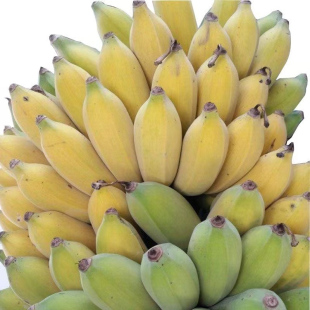 正宗广西小米蕉10斤新鲜香蕉芭蕉水果香焦自然熟苹果蕉粉蕉甜