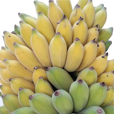 正宗广西小米蕉10斤新鲜