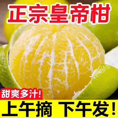 广西皇帝柑新鲜桔子武鸣应当季