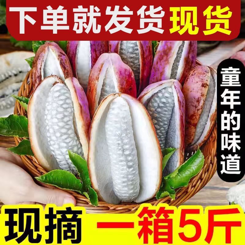 新鲜八月瓜水果八月炸野果当季