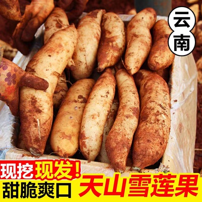 云南天山雪莲果新鲜10斤红心