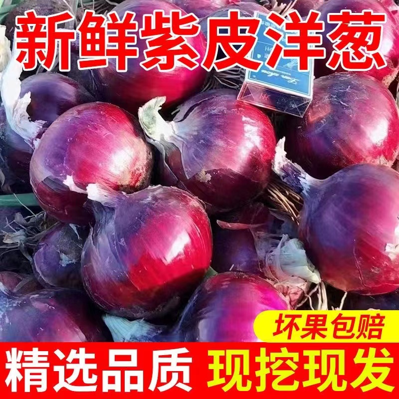 当季新摘新鲜蔬菜高山紫皮