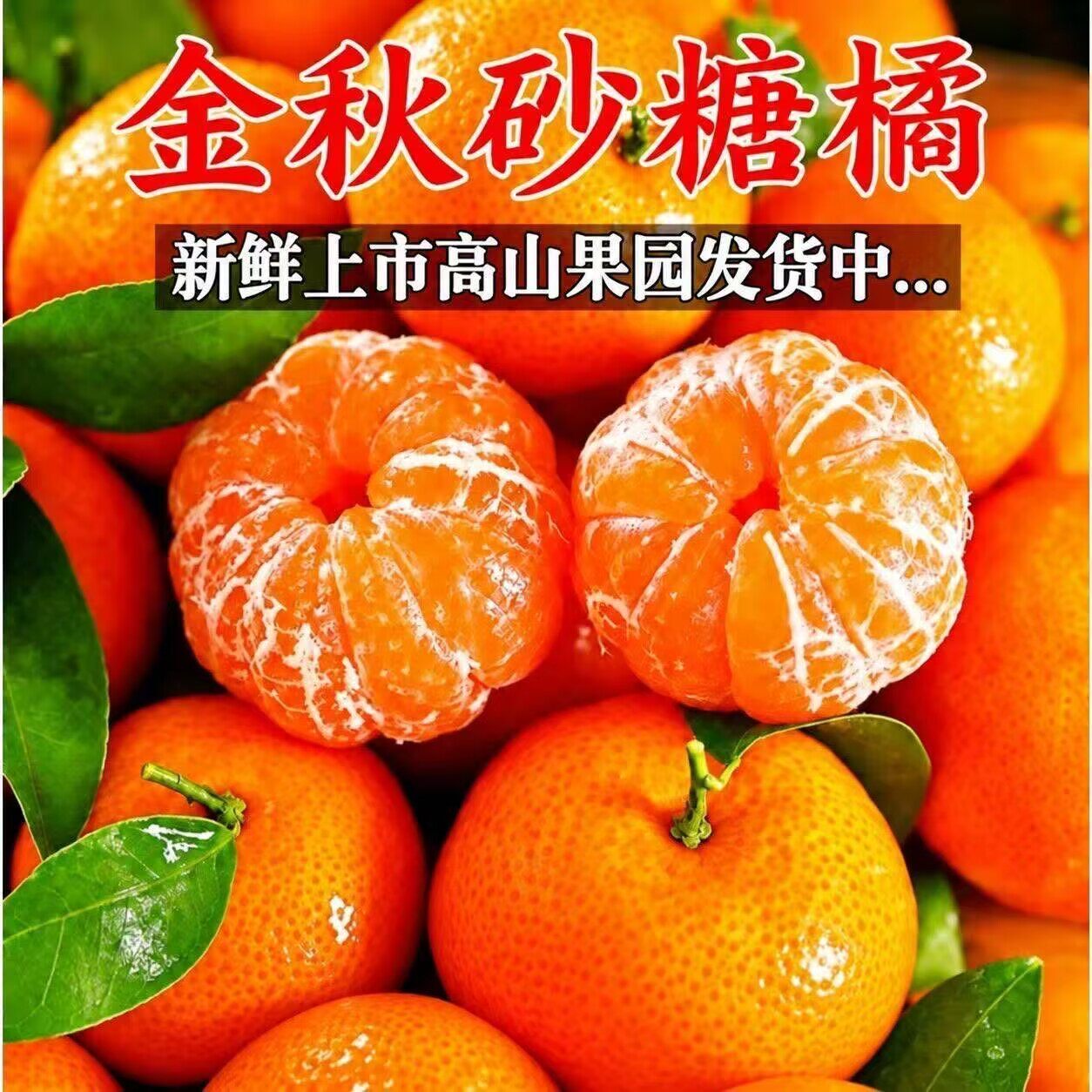 广西砂糖橘新鲜水果当季