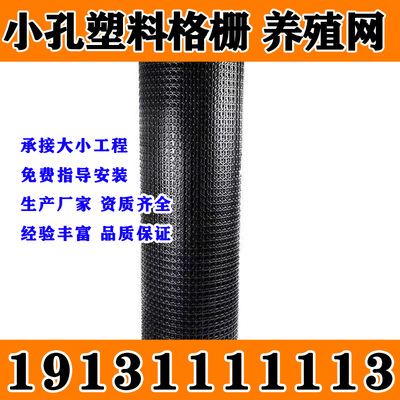 云南土工格栅塑料复合钢塑