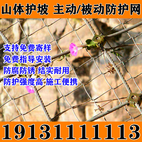 星鸿主动防护网被动环形防护网