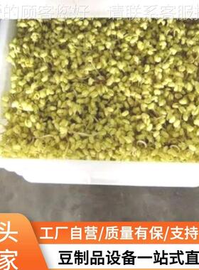 安豆芽厂机生产价家 小YPE型200斤豆芽机格芽泰苗机械