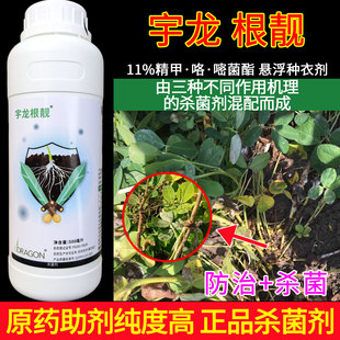 老牌子根靓精甲咯嘧菌酯正品杀菌剂花生根腐病专用农用包衣机农药