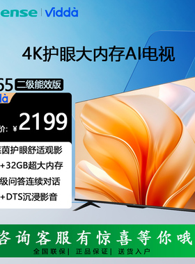Vidda R65 二级能效版 海信电视65英寸家电65V1KD-R